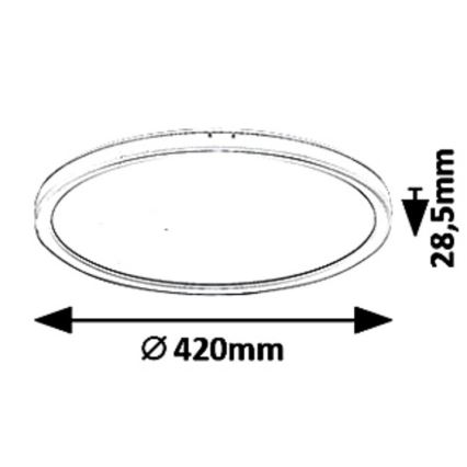 Rabalux - LED Stmievateľné stropné svietidlo LED/22W/230V