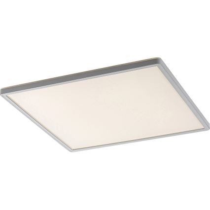 Rabalux - LED Stmievateľné stropné svietidlo LED/22W/230V