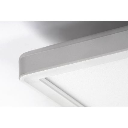 Rabalux - LED Stmievateľné stropné svietidlo LED/22W/230V