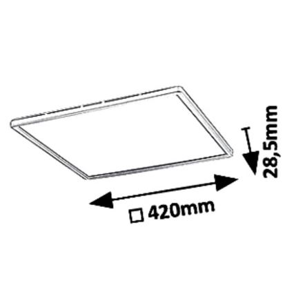 Rabalux - LED Stmievateľné stropné svietidlo LED/22W/230V