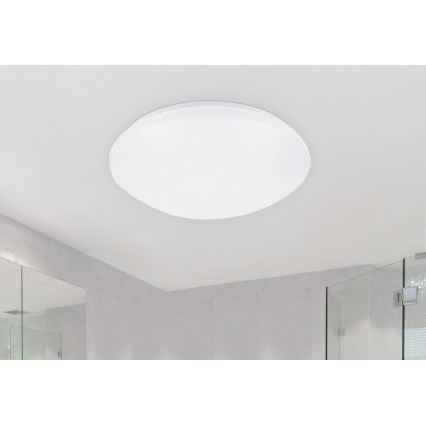 Rabalux - LED Stropné svietidlo 1xLED/24W/230V