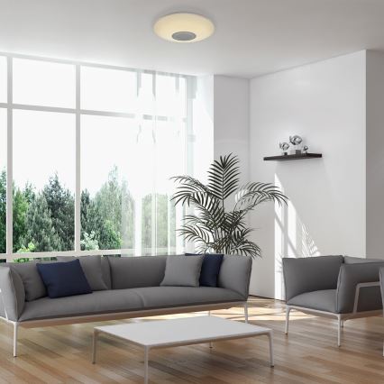 Svietidlo svieti v obývacej izbe. Šedá pohovka a kreslá sú umiestnené pred veľkým oknom s výhľadom na zeleň. Rastlina v kvetináči stojí vedľa pohovky.