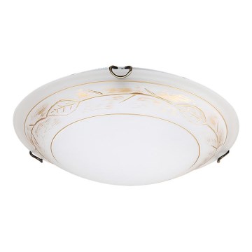Rabalux 3899 - Stropné svietidlo DAMAZ 1xE27/60W/230V Rabalux 3899 - Stropné svietidlo DAMAZ 1xE27/60W/230V