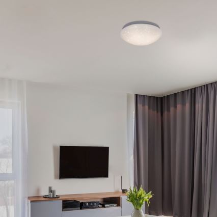 Rabalux - LED Stropné svietidlo LED/12W/230V