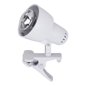 Rabalux 4341 - Lampa s klipom CLIP 1xE14/40W/230V Rabalux 4341 - Lampa s klipom CLIP 1xE14/40W/230V
