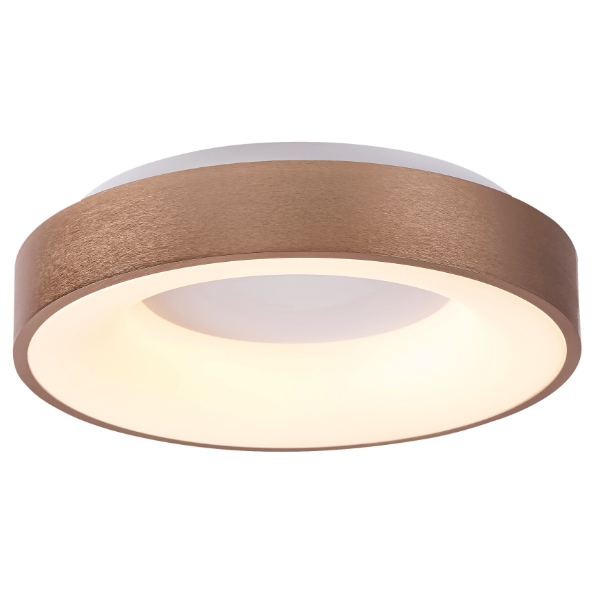 Rabalux 5052 - LED Stropné svietidlo CARMELA LED/30W/230V
