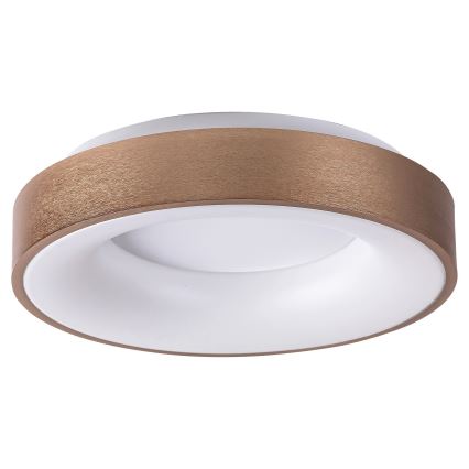 Rabalux 5052 - LED Stropné svietidlo CARMELA LED/30W/230V