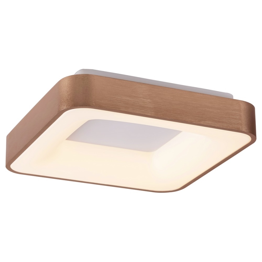 Rabalux - LED Stropné svietidlo CARMELA LED/30W/230V 40x40 cm