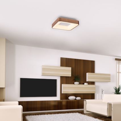 Rabalux - LED Stropné svietidlo CARMELA LED/30W/230V 40x40 cm