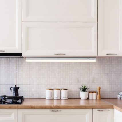 Rabalux - LED Podlinkové svietidlo LED/13W/230V