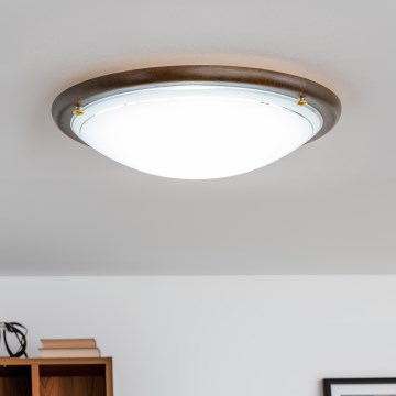 Rabalux 5427 - Stropné svietidlo UFO 2xE27/60W/230V Rabalux 5427 - Stropné svietidlo UFO 2xE27/60W/230V