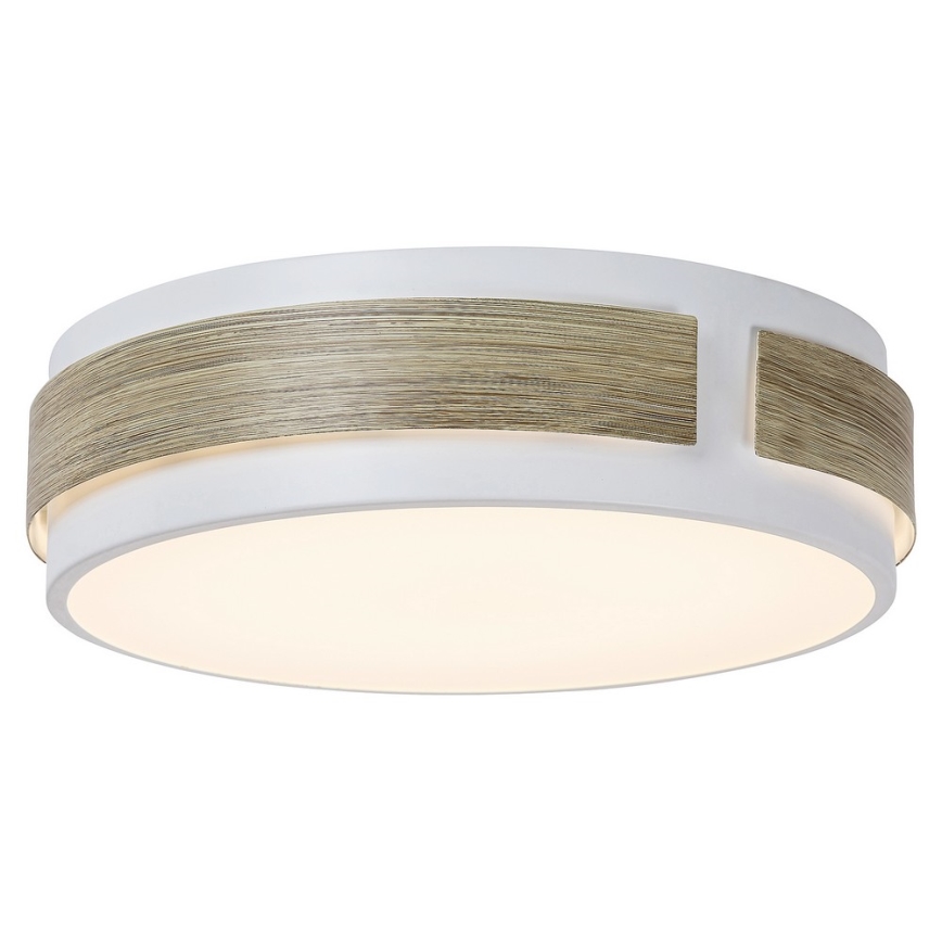 Rabalux - LED Stmievateľné stropné svietidlo LED/18W/230V