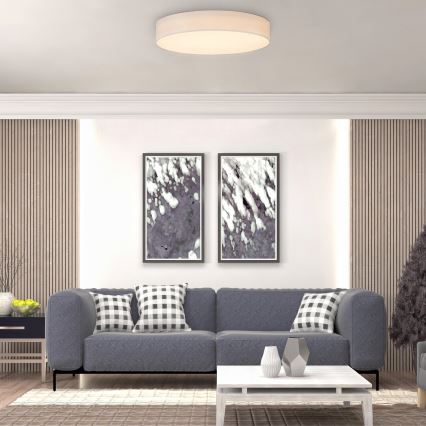 Rabalux - LED Stropné svietidlo LED/24W/230V pr. 40 cm