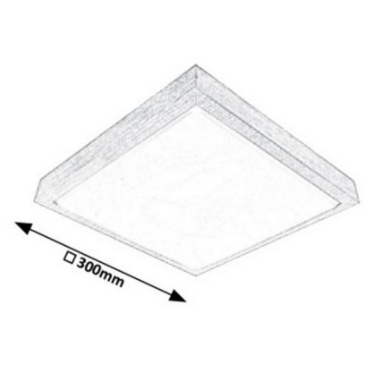 Rabalux - LED Stropné svietidlo LED/18W/230V