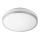 Rabalux 5872 - Kúpeľňové stropné svietidlo CELESTE 2xE27/28W/230V