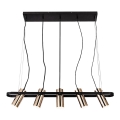 Rabalux 6430 - LED Luster na lanku RAVEN LED/25W/230V