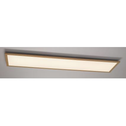 Rabalux - LED Prisadený panel LED/40W/230V 4000K