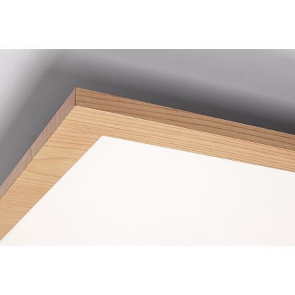 Rabalux - LED Prisadený panel LED/40W/230V 4000K