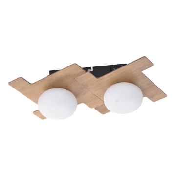 Rabalux 6918 - LED Stropné svietidlo NORWOOD LED/6W/230V