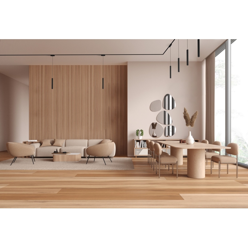 Rabalux - LED Luster na lanku do 1-fázového lištového systému LED/5W/230V 3000K čierna