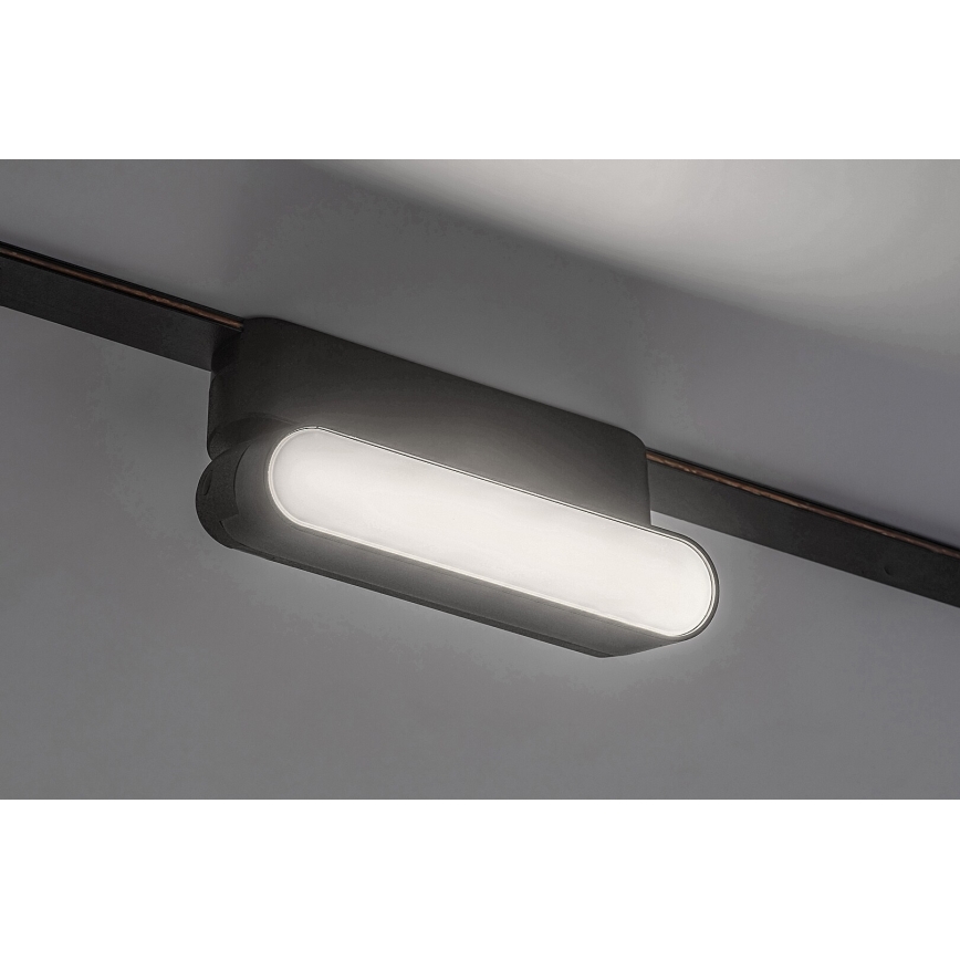 Rabalux - LED Stropné svietidlo do 1-fázového lištového systému LED/6W/230V 4000K 11,5 cm čierna