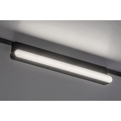 Rabalux - LED Stropné svietidlo do 1-fázového lištového systému LED/16W/230V 4000K 33 cm čierna