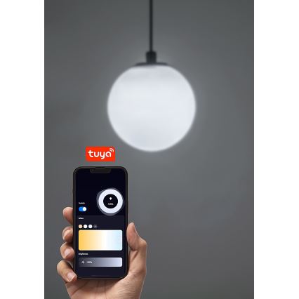 Rabalux - LED Stmievateľný luster na lanku do 1-fázového lištového systému LED/5W/24V 2700-5500K Wi-Fi Tuya čierna