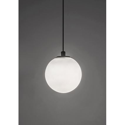 Rabalux - LED Stmievateľný luster na lanku do 1-fázového lištového systému LED/5W/24V 2700-5500K Wi-Fi Tuya čierna