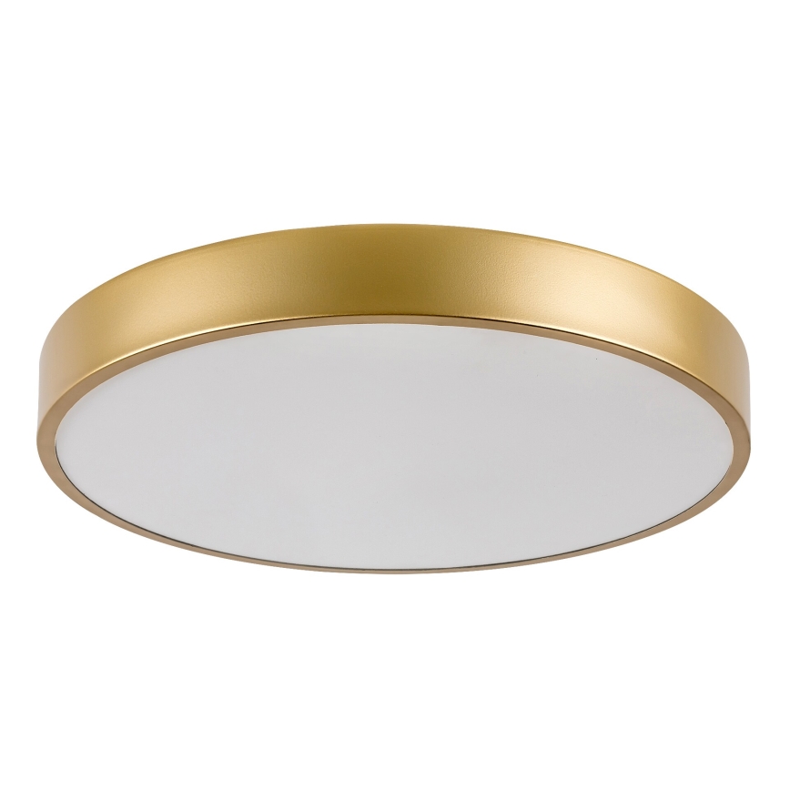 Rabalux - LED Stropné svietidlo LED/36W/230V 3000K