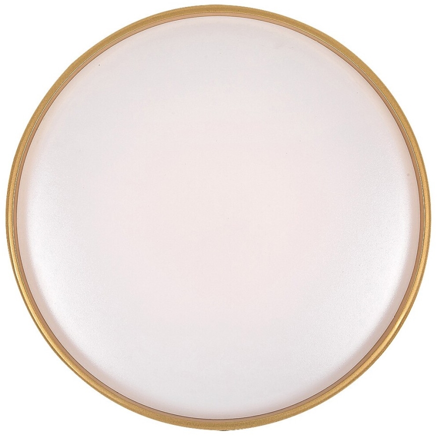 Rabalux - LED Stmievateľné stropné svietidlo LED/24W/230V 3000-6500K + diaľkové ovládanie