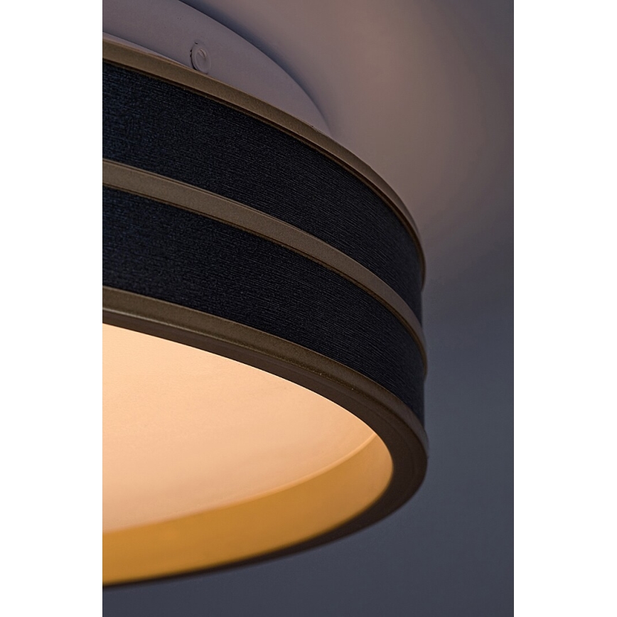Rabalux - LED Stmievateľné stropné svietidlo LED/24W/230V 3000-6500K + diaľkové ovládanie