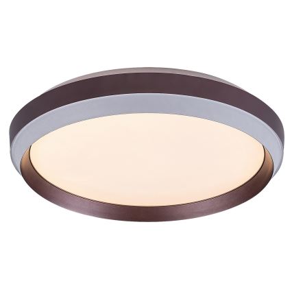 Rabalux - LED Stropné svietidlo LED/24W/230V 3000K