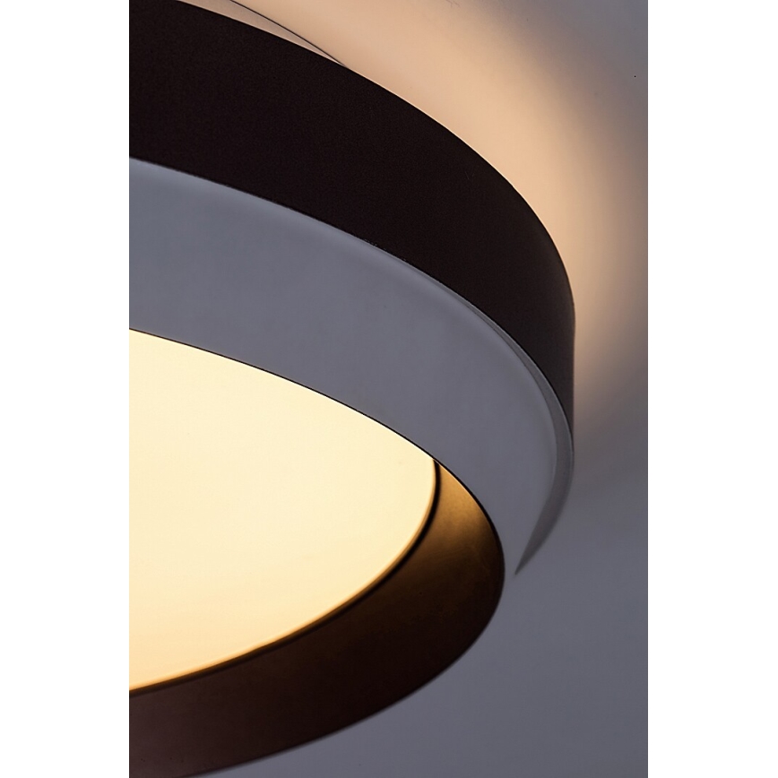 Rabalux - LED Stropné svietidlo LED/24W/230V 3000K