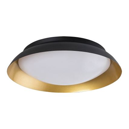 Rabalux - LED Stropné svietidlo LED/24W/230V 3000K pr. 40 cm