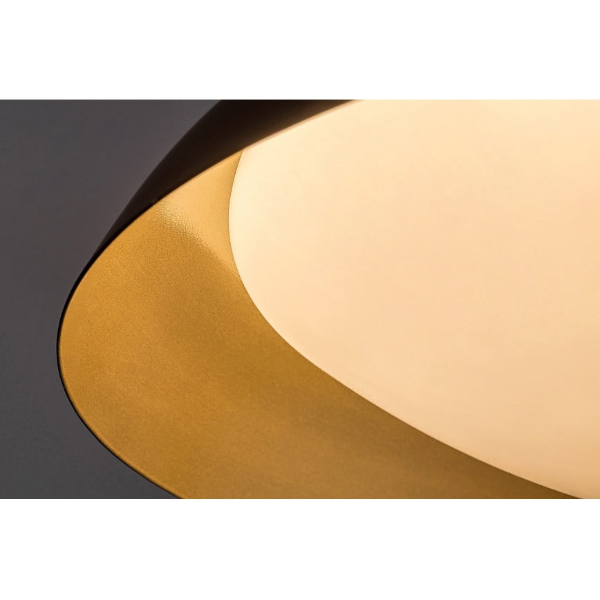 Rabalux - LED Stropné svietidlo LED/24W/230V 3000K pr. 40 cm