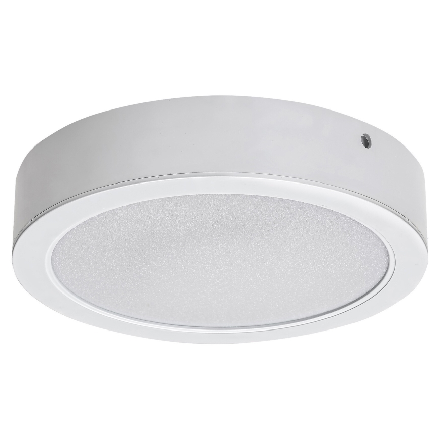 Rabalux - LED Stropné svietidlo LED/7W/230V 4000K pr. 12 cm biela