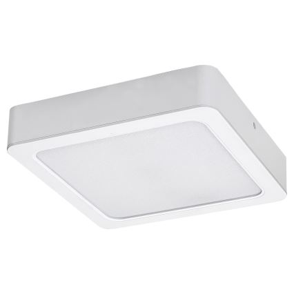 Rabalux - LED Stropné svietidlo LED/15W/230V 4000K 16x16 cm biela