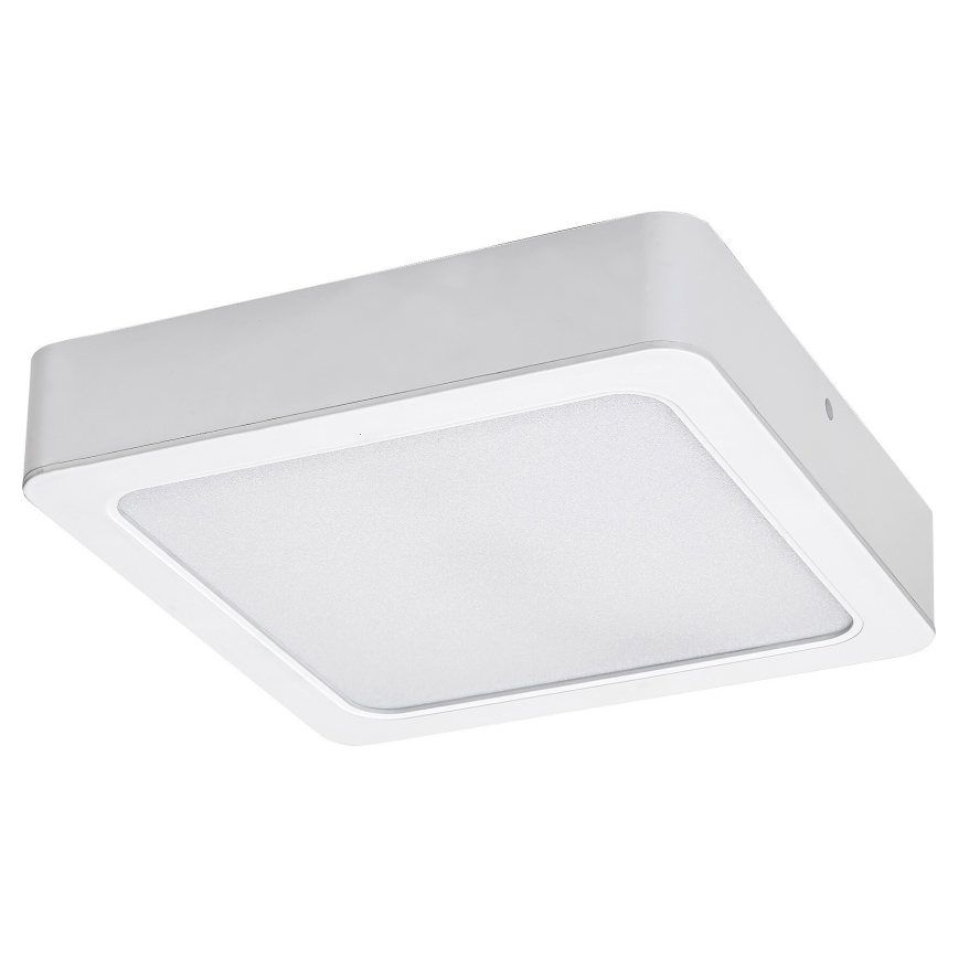 Rabalux - LED Stropné svietidlo LED/15W/230V 4000K 16x16 cm biela