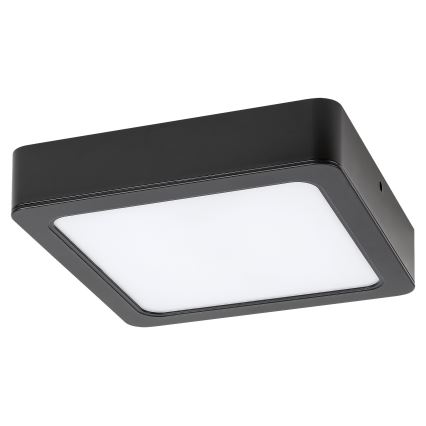 Rabalux - LED Stropné svietidlo LED/7W/230V 4000K 12x12 cm čierna