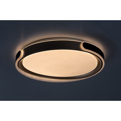 Rabalux - LED Stmievateľné stropné svietidlo LED/48W/230V 3000-6500K + diaľkové ovládanie