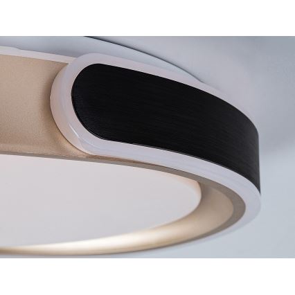 Rabalux - LED Stmievateľné stropné svietidlo LED/48W/230V 3000-6500K + diaľkové ovládanie