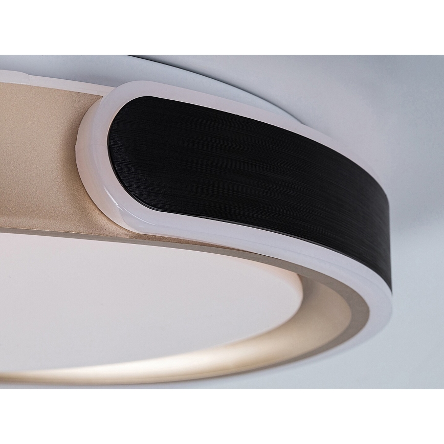 Rabalux - LED Stmievateľné stropné svietidlo LED/48W/230V 3000-6500K + diaľkové ovládanie