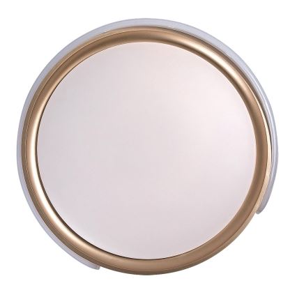 Rabalux - LED Stmievateľné stropné svietidlo LED/48W/230V 3000-6500K + diaľkové ovládanie