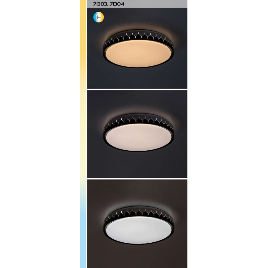 Rabalux - LED Stmievateľné stropné svietidlo LED/48W/230V 3000-6500K + diaľkové ovládanie