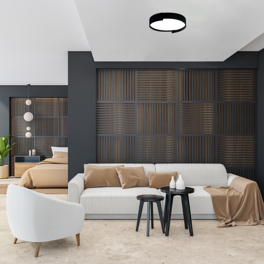 Rabalux - LED Stmievateľné stropné svietidlo LED/24W/230V 3000-6500K + diaľkové ovládanie