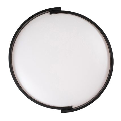 Rabalux - LED Stmievateľné stropné svietidlo LED/24W/230V 3000-6500K + diaľkové ovládanie