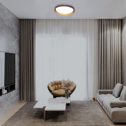 Rabalux - LED Stmievateľné stropné svietidlo LED/48W/230V 3000-6500K + diaľkové ovládanie