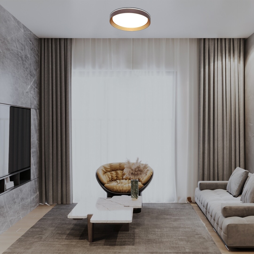 Rabalux - LED Stmievateľné stropné svietidlo LED/48W/230V 3000-6500K + diaľkové ovládanie