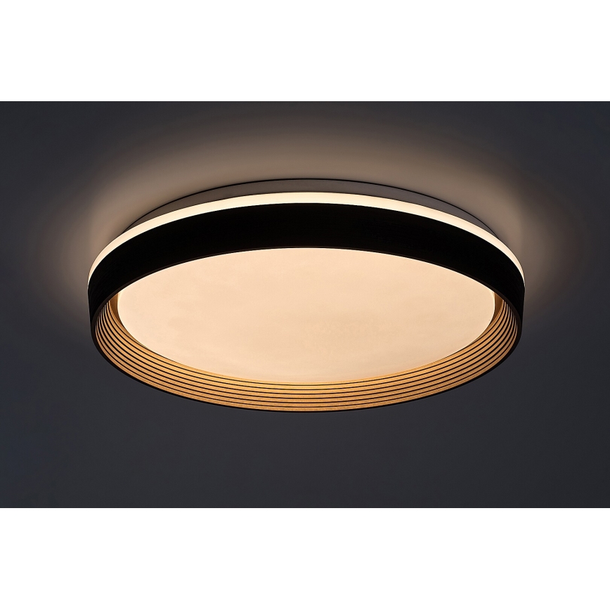 Rabalux - LED Stmievateľné stropné svietidlo LED/48W/230V 3000-6500K + diaľkové ovládanie
