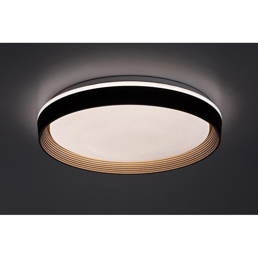 Rabalux - LED Stmievateľné stropné svietidlo LED/48W/230V 3000-6500K + diaľkové ovládanie